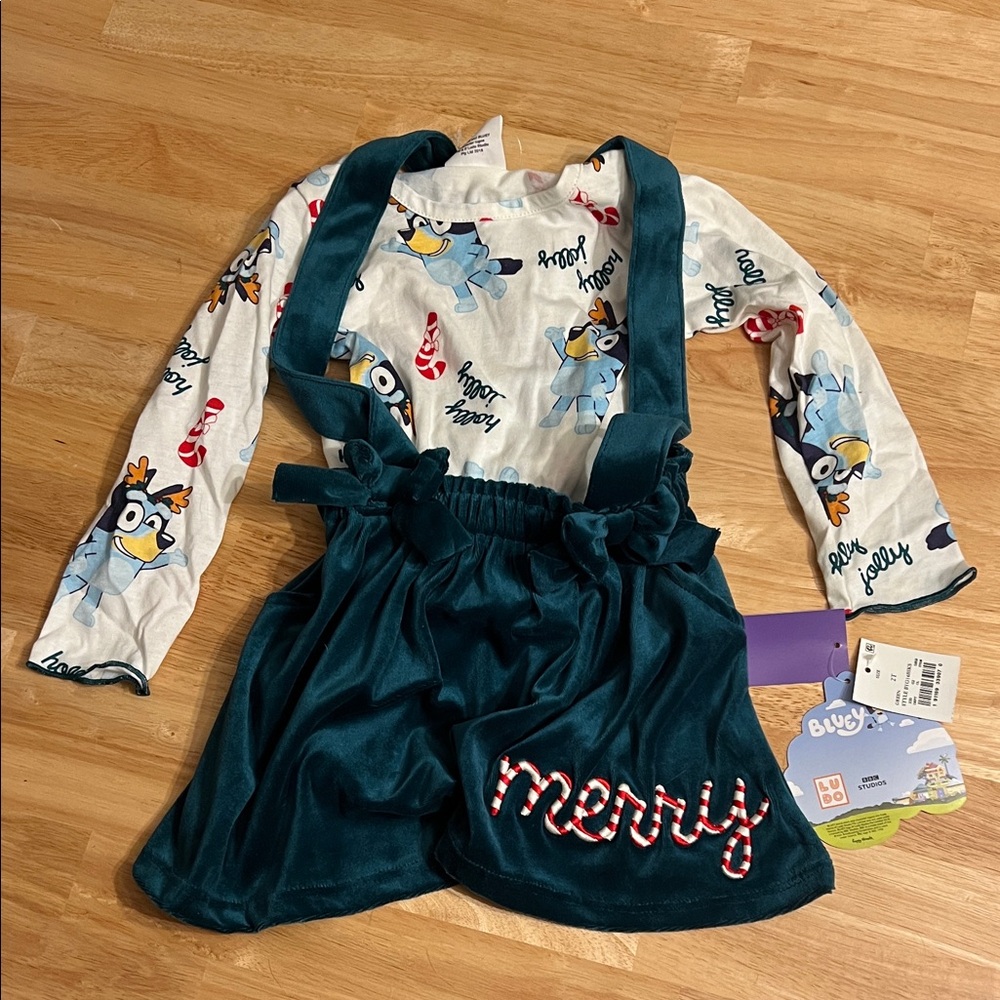 Bluey Christmas outfit